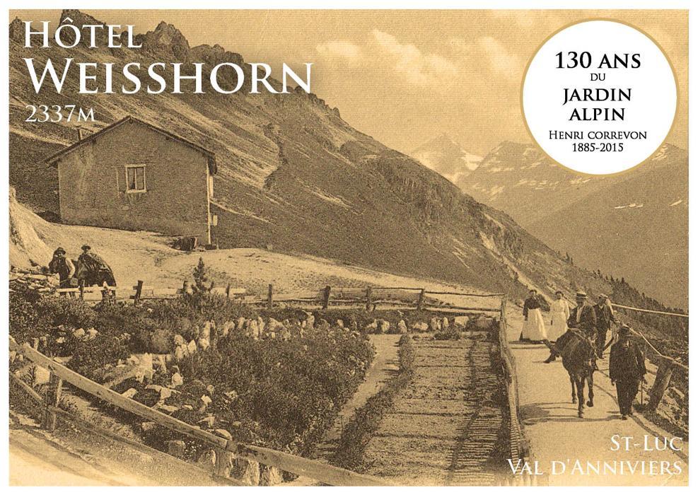 Hotel Weisshorn Sur St-Luc 2337M Saint-Luc Eksteriør billede