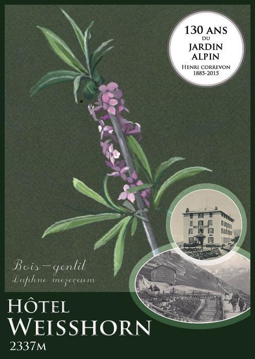 Hotel Weisshorn Sur St-Luc 2337M Saint-Luc Eksteriør billede