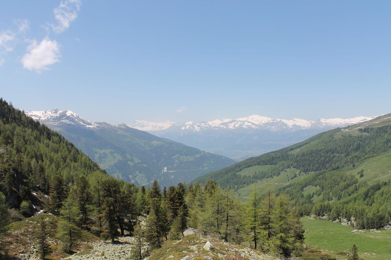 Hotel Weisshorn Sur St-Luc 2337M Saint-Luc Eksteriør billede