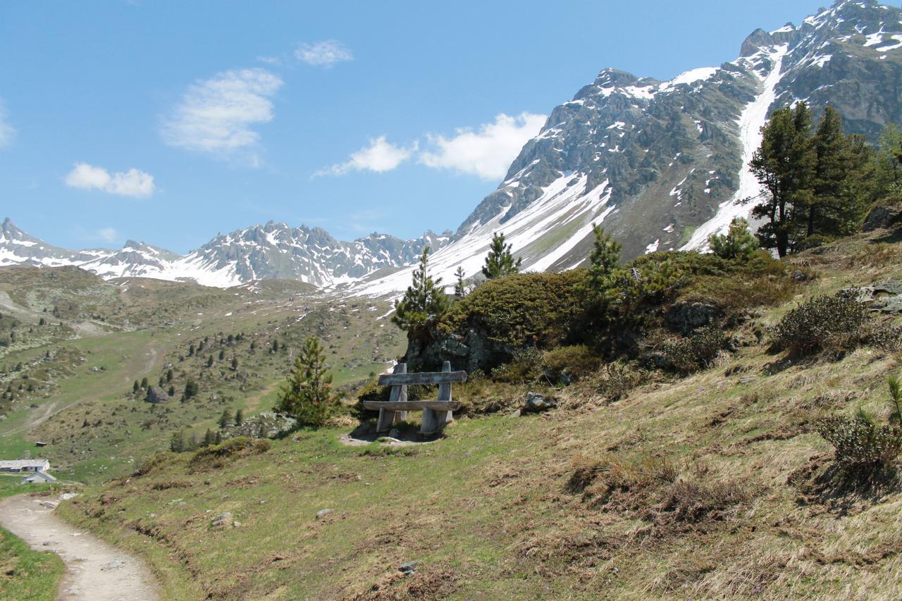Hotel Weisshorn Sur St-Luc 2337M Saint-Luc Eksteriør billede